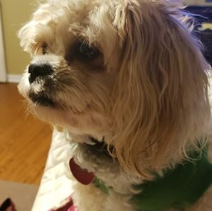 Meet your Posher, Cynthia